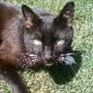 Meet your Posher, Tina